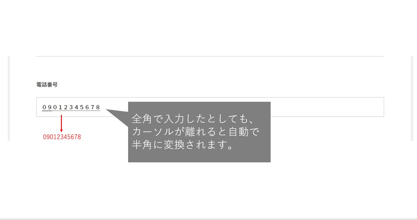 ​【EFO】全角・半角自動変換機能を追加しました。